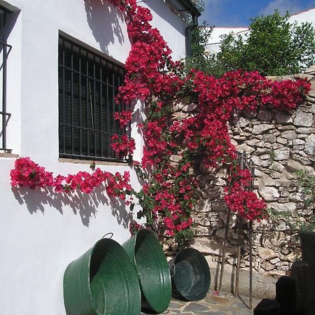 Casa Rural Y Restaurante Casa Adriano Casa de hóspedes Alanís Exterior foto