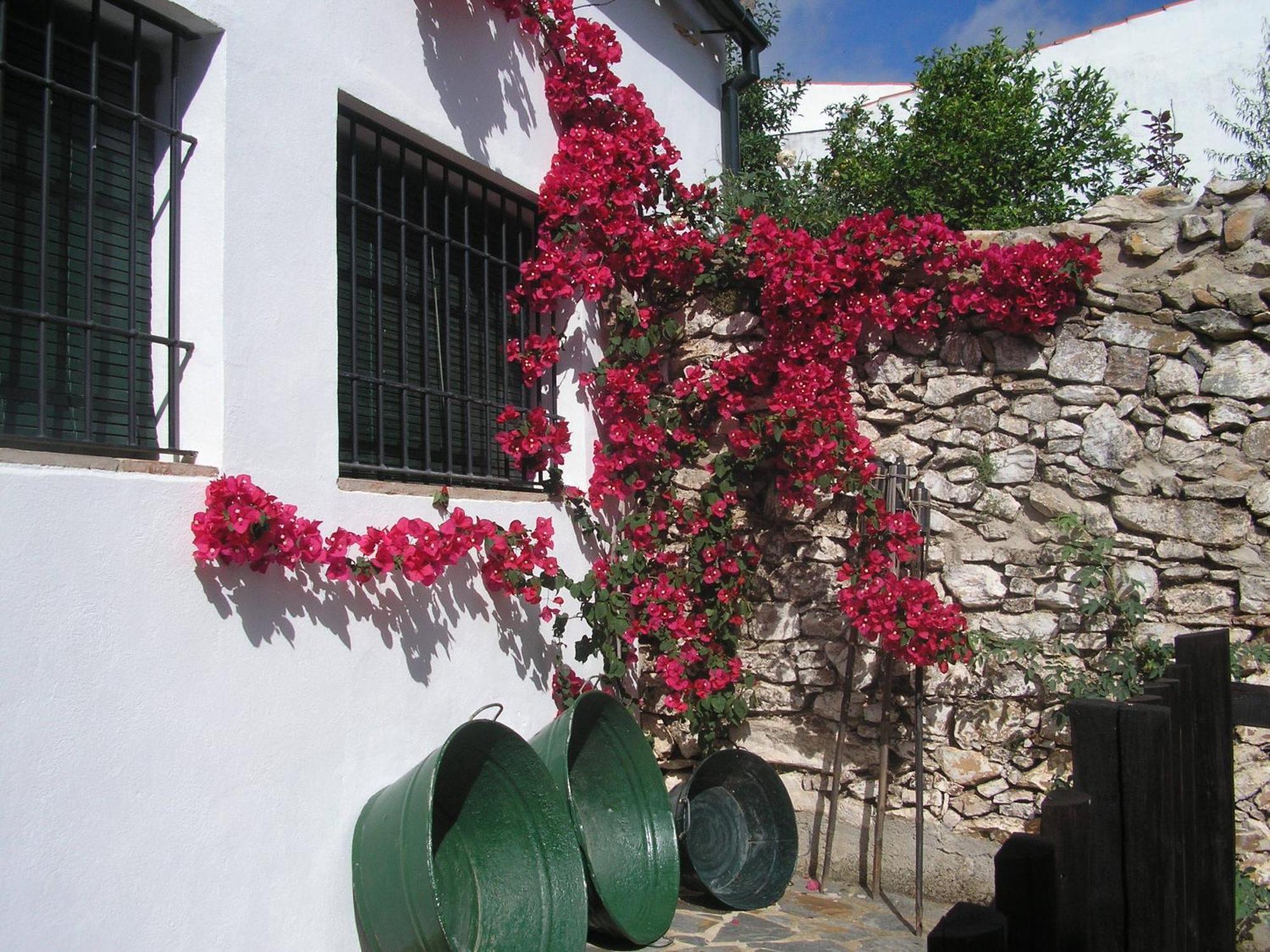 Casa Rural Y Restaurante Casa Adriano Casa de hóspedes Alanís Exterior foto